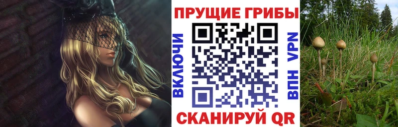 mega зеркало  Асбест  Псилоцибиновые грибы Psilocybine cubensis 